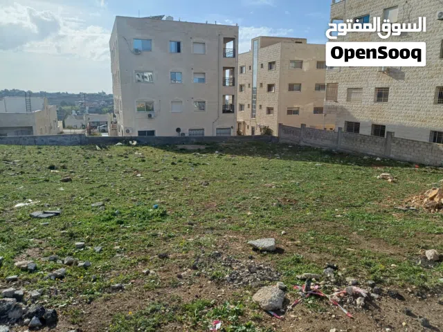 Residential Land for Sale in Irbid Natifa