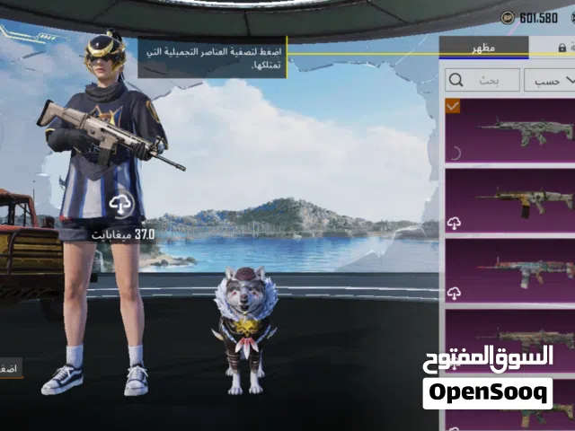 حساب ببجي للبيع مميز و سعر رخيص