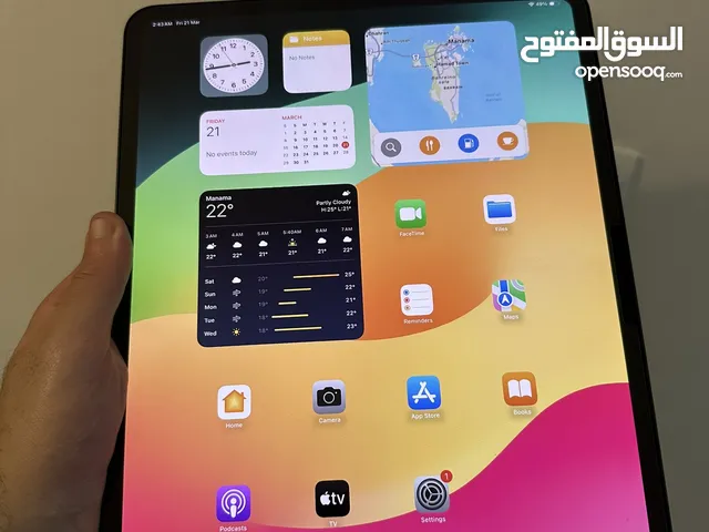 iPad Pro M4 13 ( used only 20 days ) save 41%