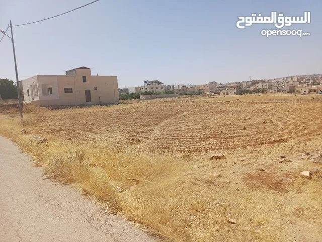 Residential Land for Sale in Al Karak Other