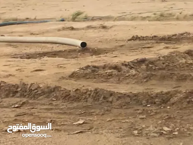 مزرعة على طريق الخور