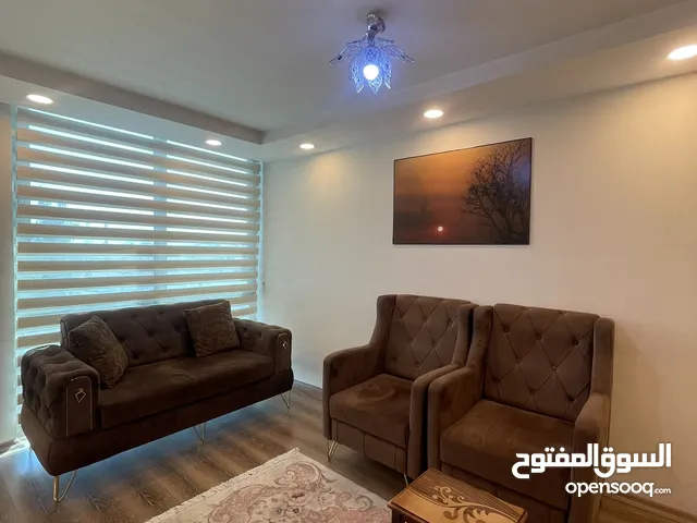 50 m2 1 Bedroom Apartments for Rent in Erbil Sarbasti