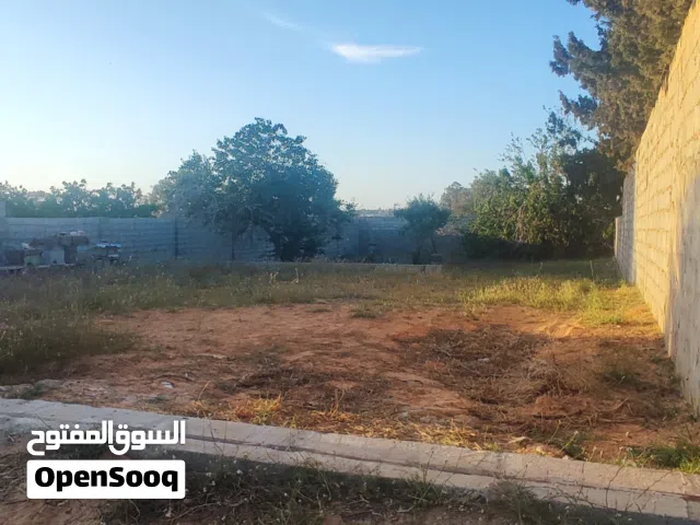 ارض 750 متر للبيع الباعيش مقسم الفانين