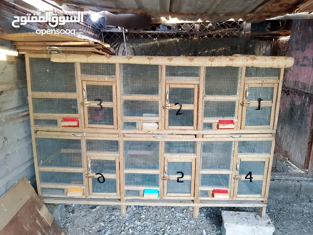 قفص تفصال اقره الوصف