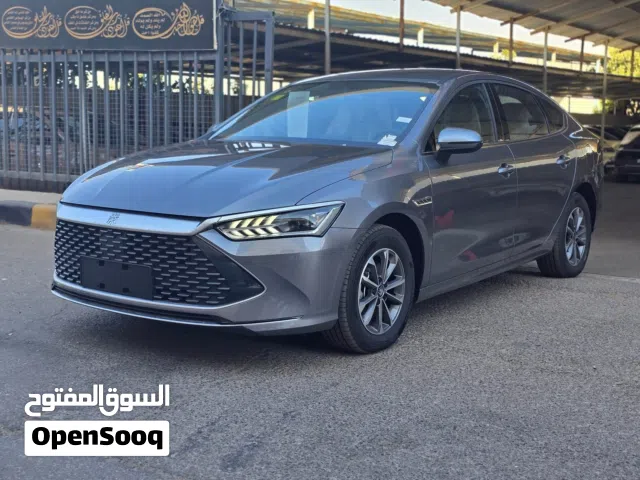 2024 بي واي دي كين