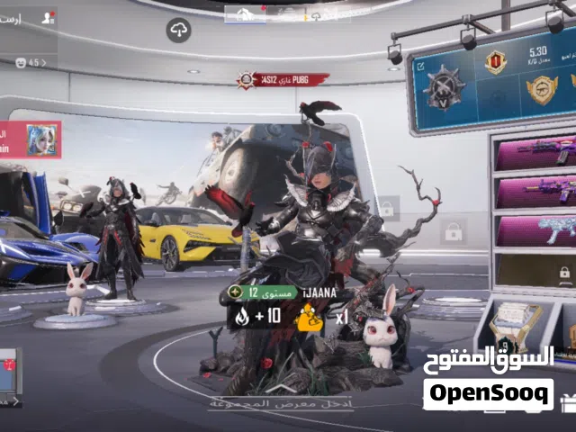 Pubg Accounts and Characters for Sale in Ramallah and Al-Bireh