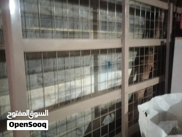 للبيع سرير غرفه نوم كبير بحاله الجديد استعمال بسيط