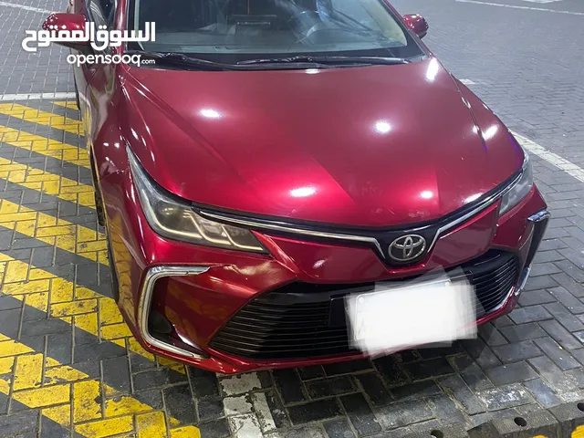 Toyota Corolla in Cairo