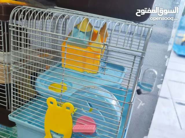 اكبر تشكيلة هامستر و اكبر تشكيلة اكسسوارات هامستر اقفاص نجارة خشب معطرة واكبر تشكيلة اقفاص