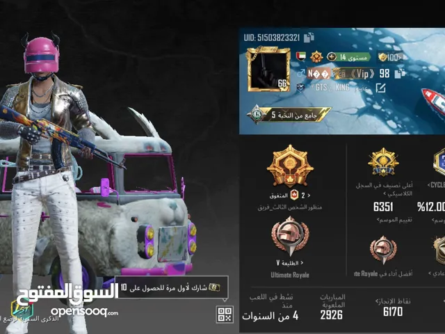 Pubg Accounts and Characters for Sale in Irbid