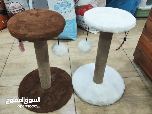 خداشة قطط عامودية احمي اثاثك الان