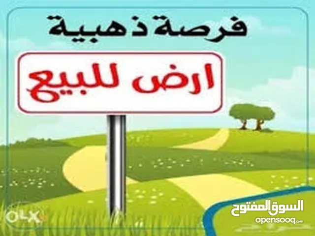 Residential Land for Sale in Baghdad Qadisiyyah