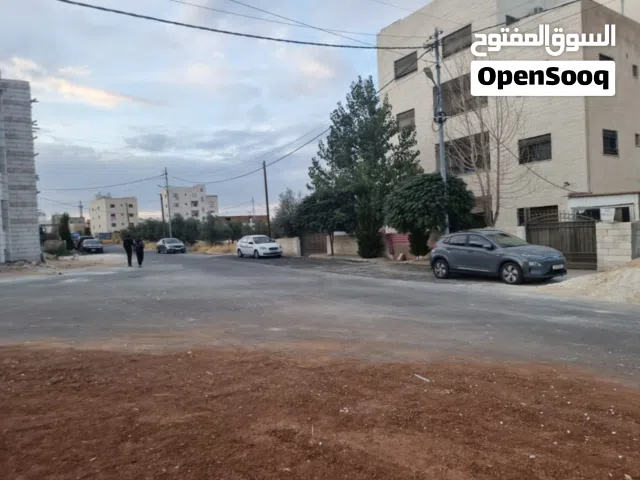 حي الباير منطقه فلل مرتبة
