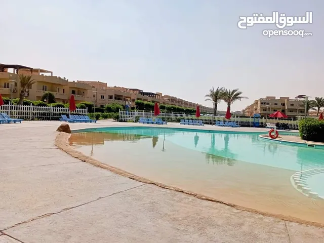 شاليه بالروف امام حمام السباحة في راس سدر موسى كوست