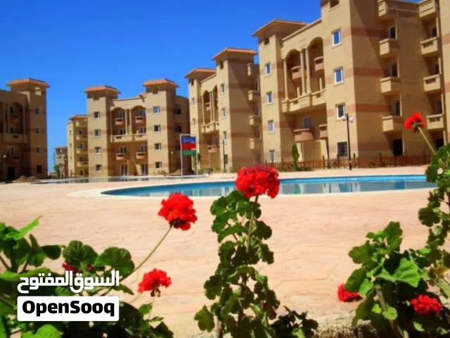3 Bedrooms Farms for Sale in Alexandria North Coast