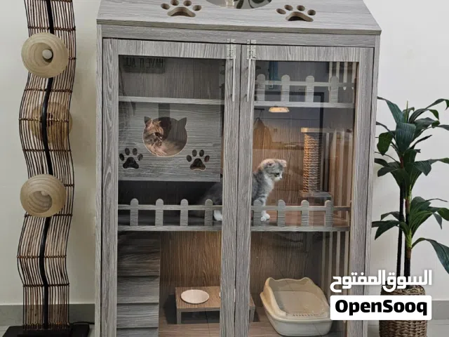 wholesale and individual many designs of cat houses, بيوت قطط جمله ومفرق ، فخمه ورائعه باحجام مختلفه