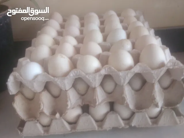 تحي عربي مخلط