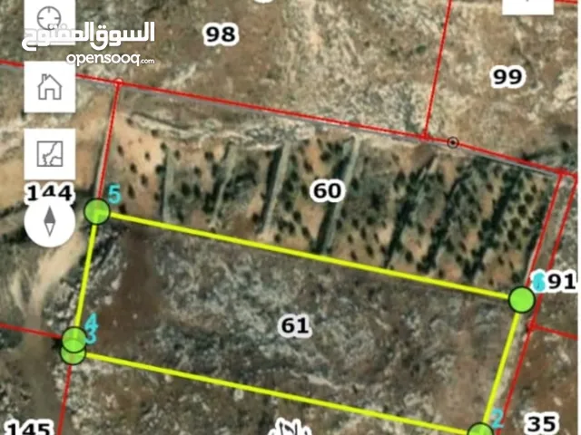 Farm Land for Sale in Amman Badr Jdedeh