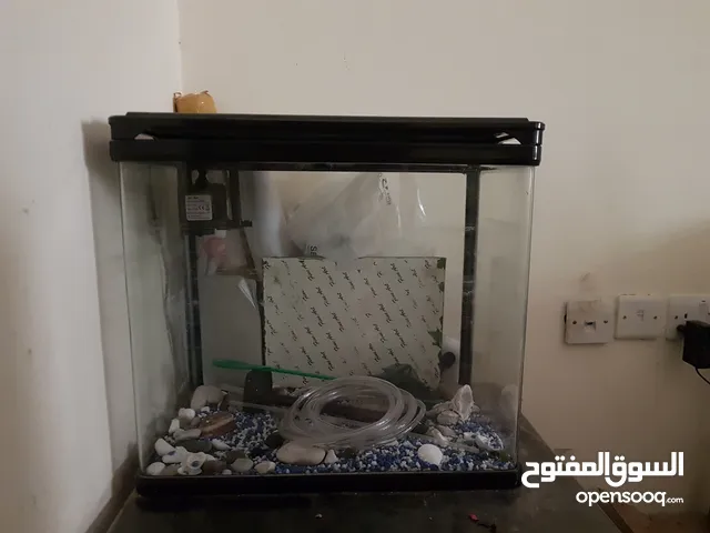 fish tank.