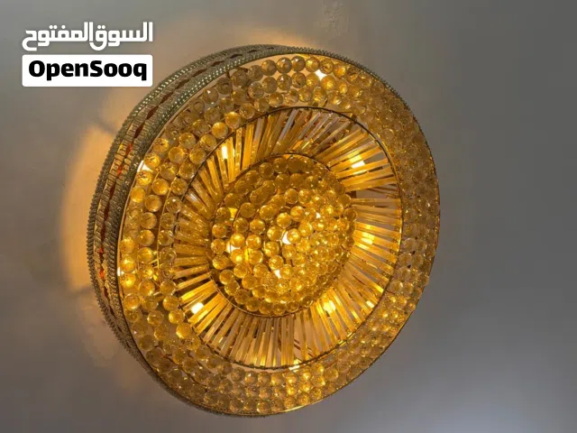 ثرية منزلية