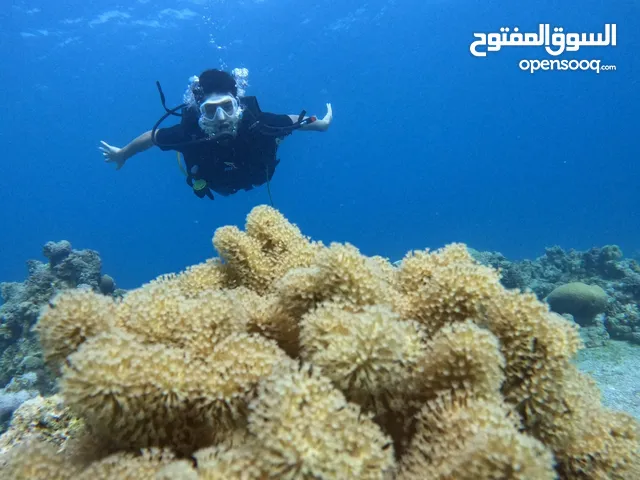 بدلة اديداس من الوكالة حالة وكالة
