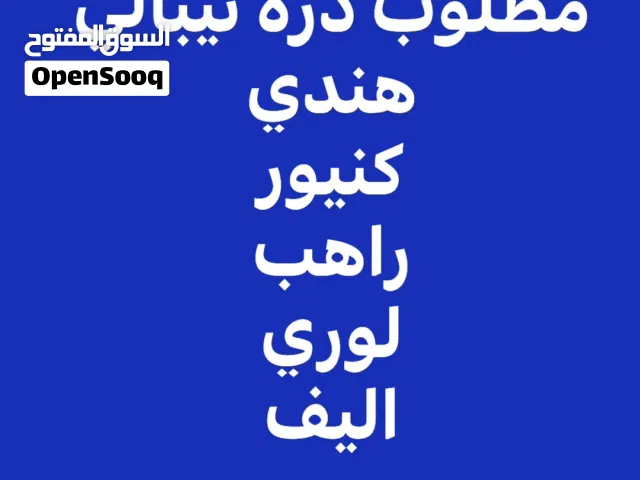 الي عندا طيور اليفه شراي  كاسكو درر هندي نيبالي