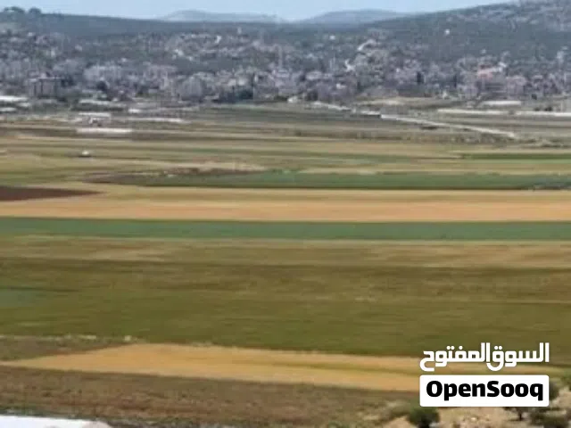 Farm Land for Sale in Jenin Manshiya