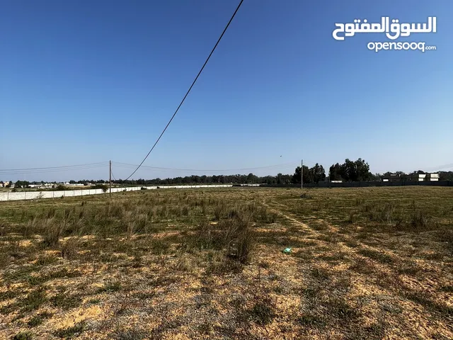 Mixed Use Land for Sale in Tripoli Gasr Garabulli