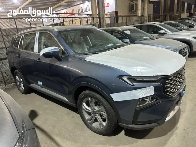 تيريتوري ترند 2025