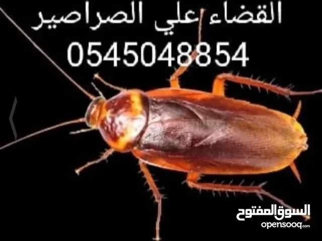 شركه مكافحه الحشرات