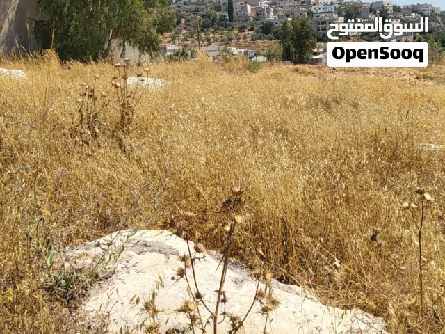 Mixed Use Land for Sale in Irbid Al Ashrafiyah
