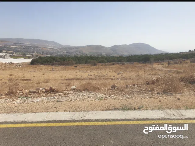Mixed Use Land for Sale in Nablus Taluza