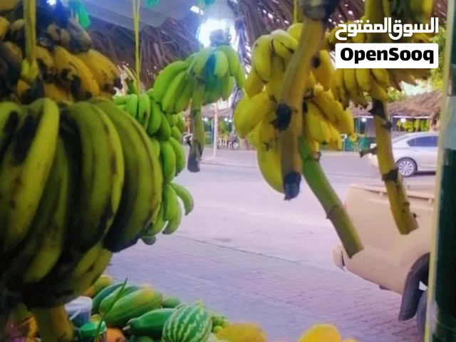 بيع البيذام والفواكه يتم التصدير من صلاله ال جميع ولايات السلطنه عن طريق مكاتب النقل