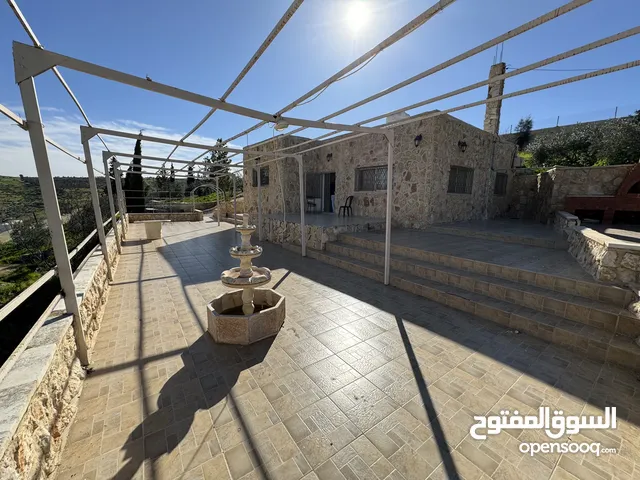 2 Bedrooms Farms for Sale in Mafraq Dahl