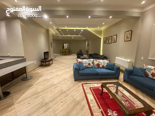 Semi Furnished Shops in Cairo First Settlement