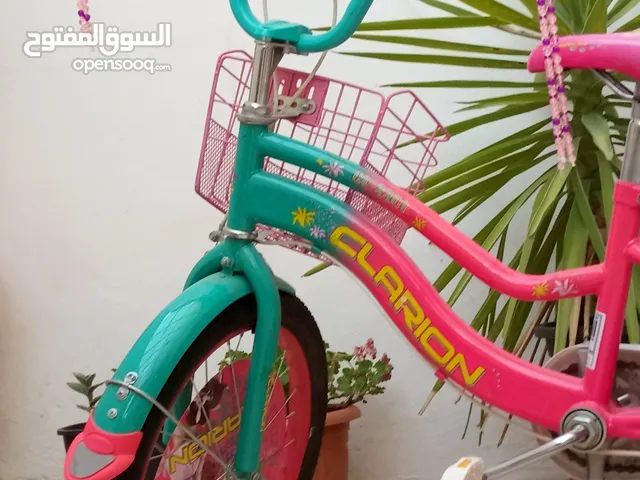 بسكليت جميل