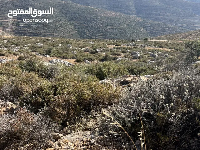 Mixed Use Land for Sale in Ramallah and Al-Bireh Abwein