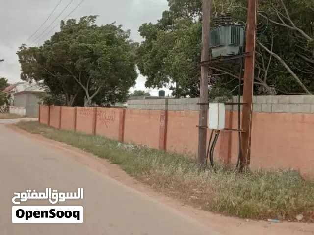 الببسي بوعطني