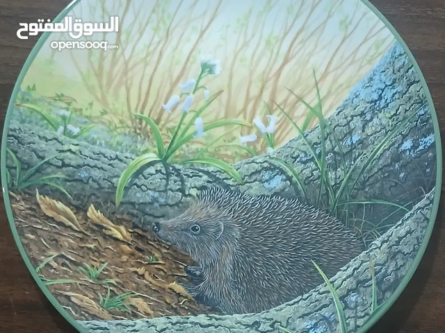 طبق خزفي فني نادر – "القنفذ البري" من مجموعة الحياة البرية