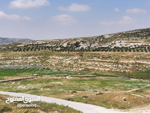 Residential Land for Sale in Amman Husban