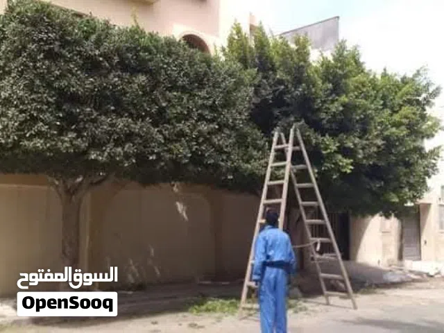 فني تقليم اشجار