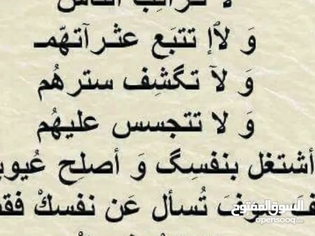 ابو يوسف