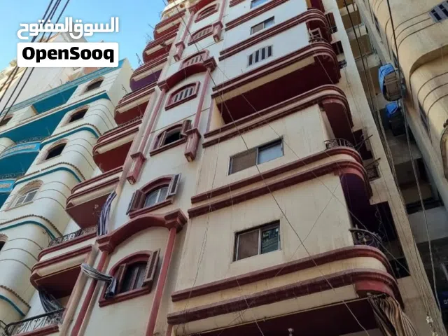 Furnished Monthly in Mansoura El Mansoura University