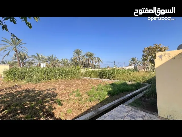 3 Bedrooms Farms for Sale in Al Batinah Suwaiq