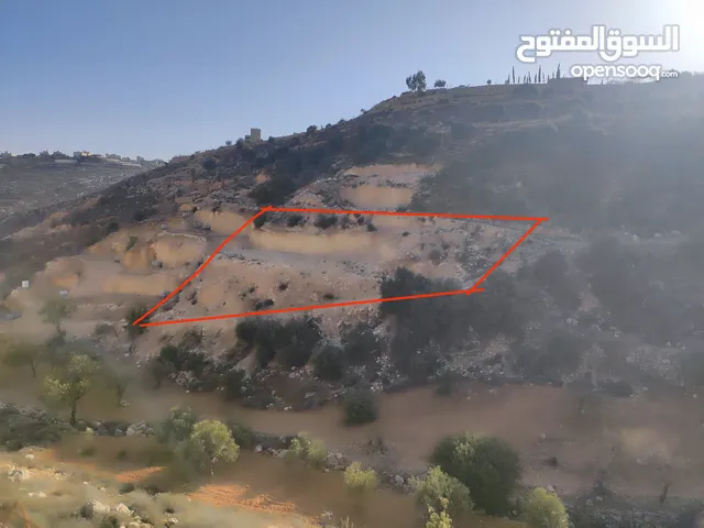 ارض للبيع 1000 متر طابو ابو نجيم