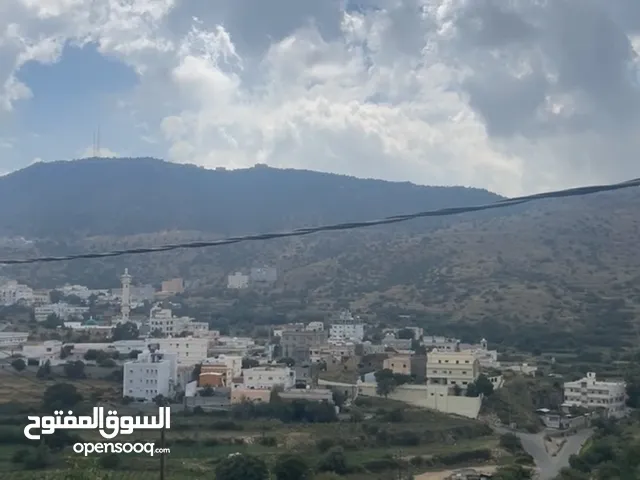1000 m2 1 Bedroom Apartments for Rent in Al Bahah Raghdan