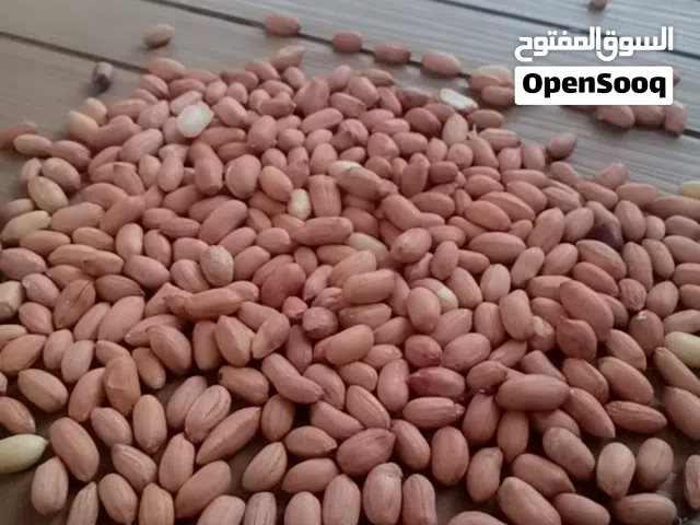 فول سوداني عالى الجودة