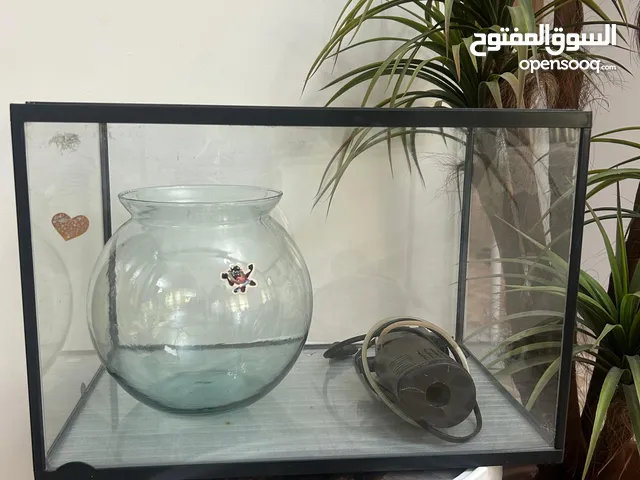 حوض سمك + ماتور +حوض صغير فازه