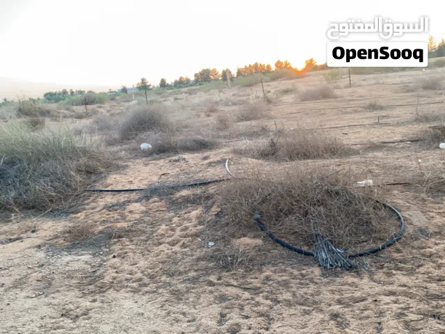 Residential Land for Sale in Tripoli Qasr Bin Ghashir