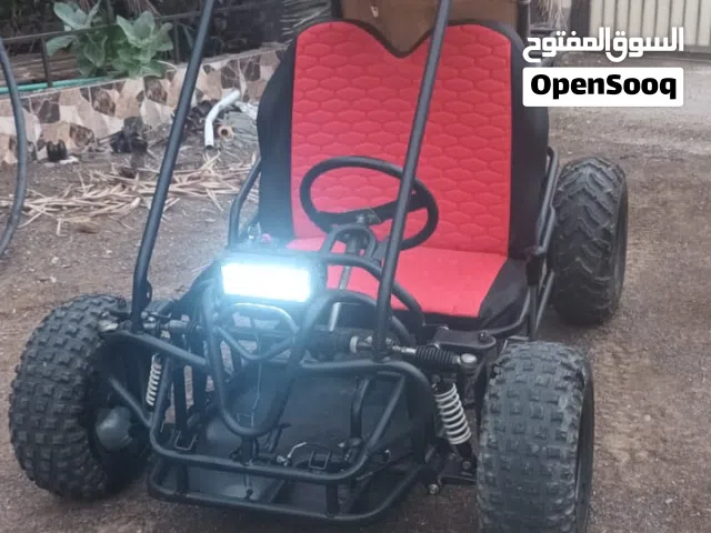 2025 Buggy All Models
